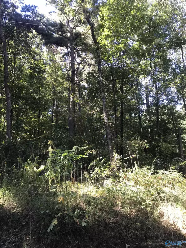 Scottsboro, AL 35769,lot 44, 45 Holiday Shores Road