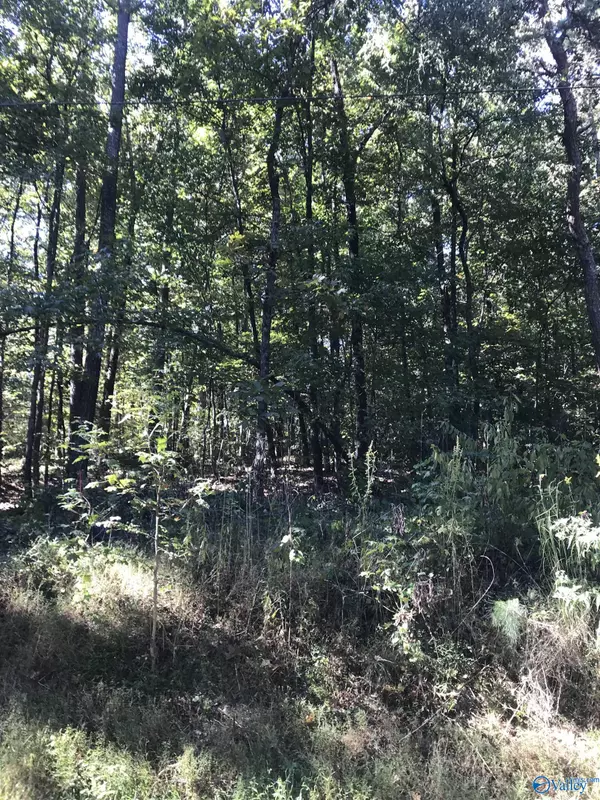 Scottsboro, AL 35769,lot 44, 45 Holiday Shores Road