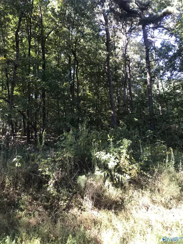 Scottsboro, AL 35769,lot 44, 45 Holiday Shores Road