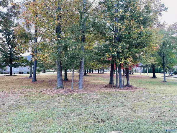 Scottsboro, AL 35769,Lot 27 Paradise Place