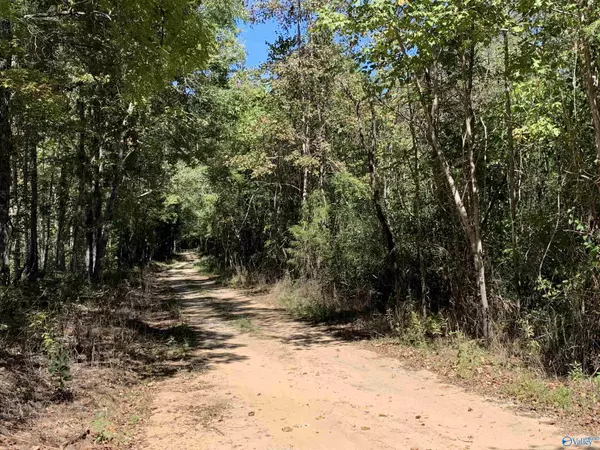 Somerville, AL 35670,4.8 Acres on Draper Road