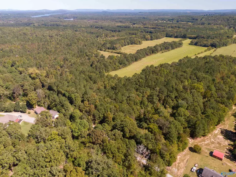 4.8 Acres on Draper Road, Somerville, AL 35670