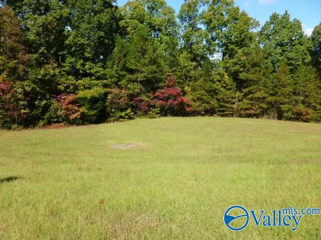 691 Joeffie Road, Grant, AL 35747