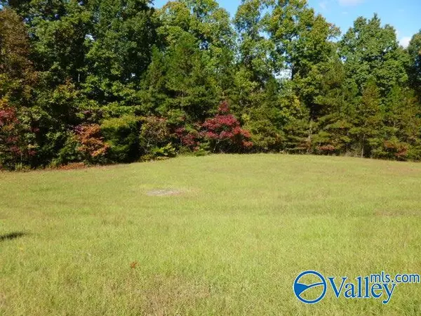 Grant, AL 35747,691 Joeffie Road