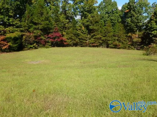 Grant, AL 35747,691 Joeffie Road