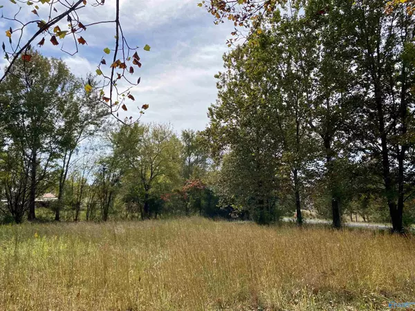 Grant, AL 35747,Lot 25 and 26 Davis Hill Road