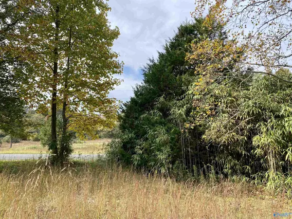 Grant, AL 35747,Lot 25 and 26 Davis Hill Road