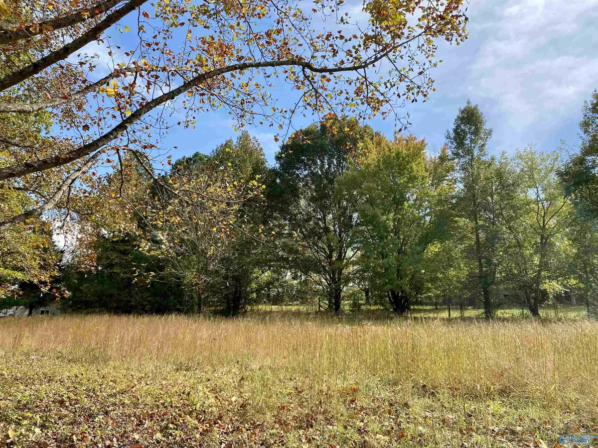 Grant, AL 35747,Lot 25 and 26 Davis Hill Road