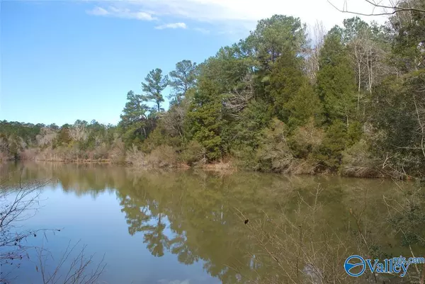 Enterprise, AL 36330,86 Acres County Road 156