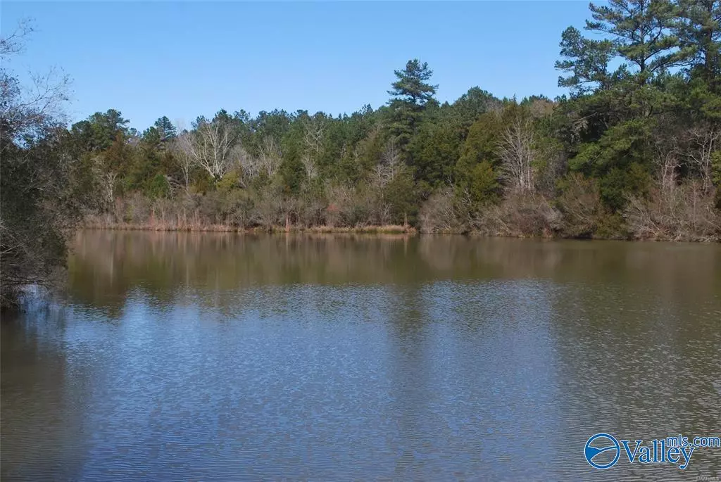 Enterprise, AL 36330,86 Acres County Road 156