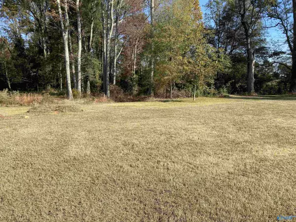 Athens, AL 35614,19178 Tammy Leigh Drive