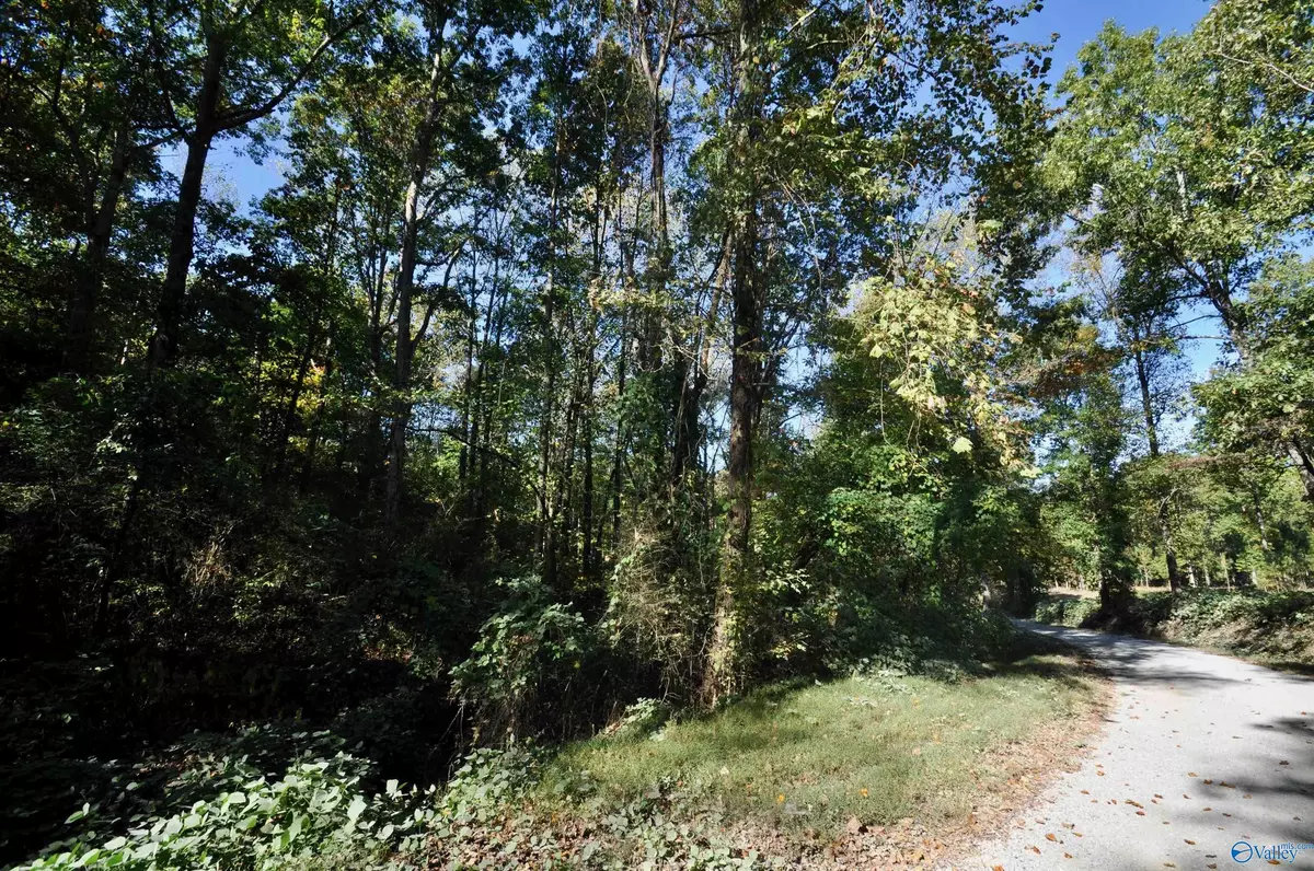 Cullman, AL 35179,Lot County Road 1389