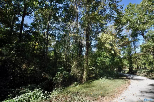 Lot County Road 1389, Cullman, AL 35179