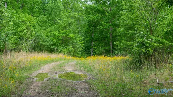 Princeton, AL 35766,1203 County Road 303