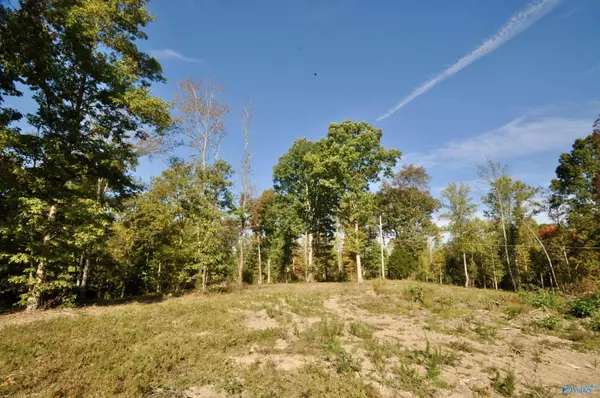 Cullman, AL 35179,Lot 00 County Road 1389