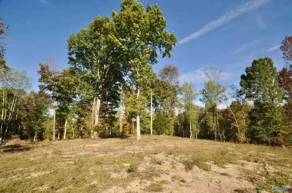 Cullman, AL 35179,Lot 00 County Road 1389