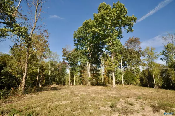 Lot 00 County Road 1389, Cullman, AL 35179