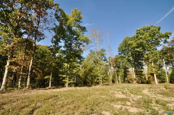 Cullman, AL 35179,Lot 00 County Road 1389