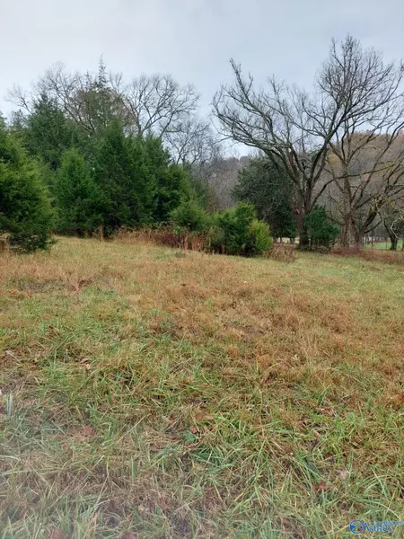 0 Hudson Hollow Road, Fayetteville, TN 37334