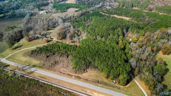 8 Acres Highway 11, Attalla, AL 35954