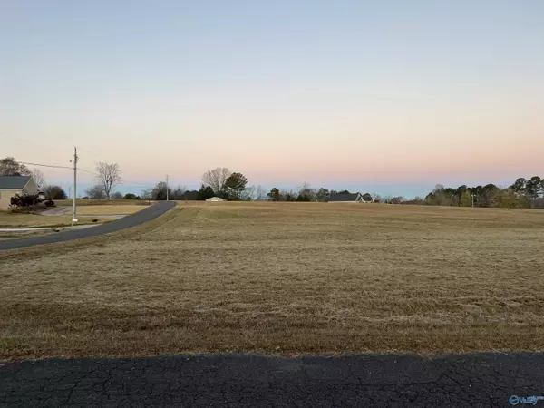 Grant, AL 35747,Tracts 1-4 Joeffie Road