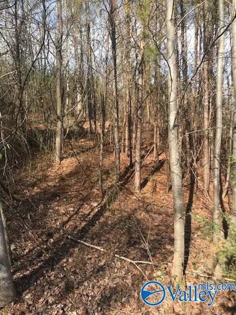 Scottsboro, AL 35769,2 Lots Columbus City Road