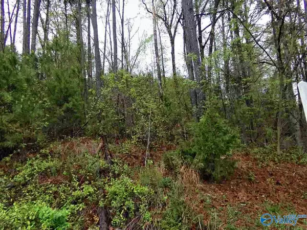 2 Lots Columbus City Road, Scottsboro, AL 35769