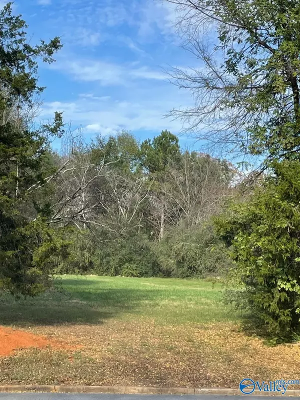 Lot Byler Road, Moulton, AL 35650