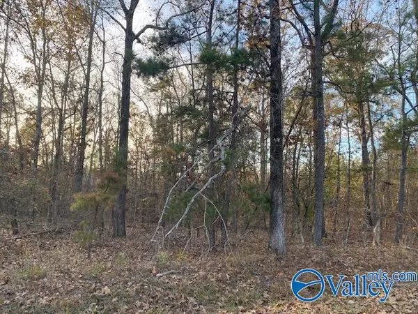 Cedar Bluff, AL 35959,6.56 acres County Road 616