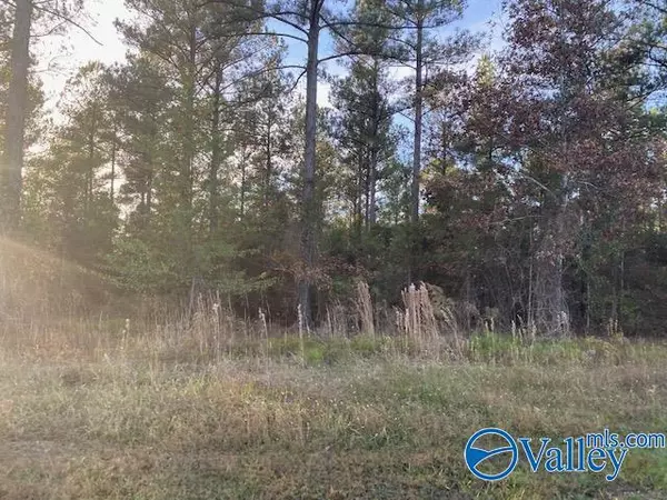 Cedar Bluff, AL 35959,6.56 acres County Road 616