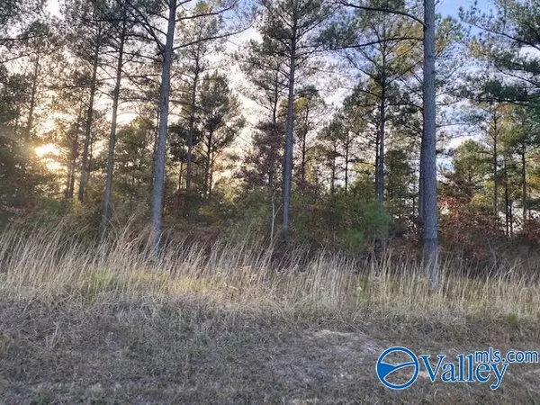 Cedar Bluff, AL 35959,6.56 acres County Road 616