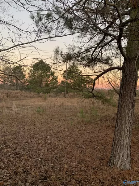 6182 County Road 70, Leesburg, AL 35983