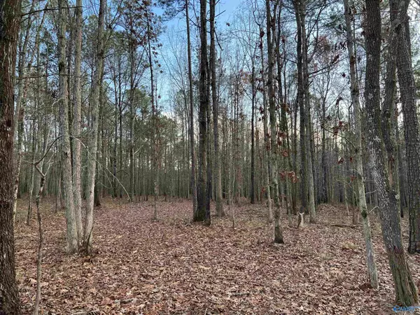 Lot #11 High Pointe, Mentone, AL 35984