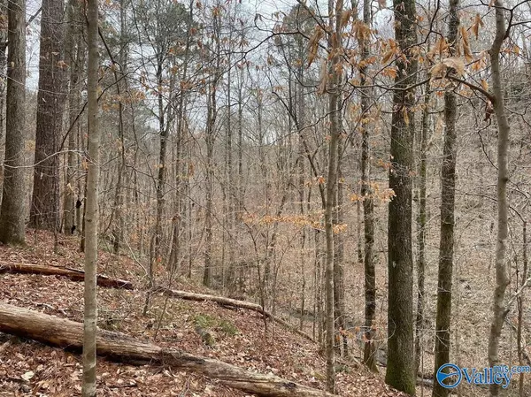 Arley, AL 35541,lot0 County Road