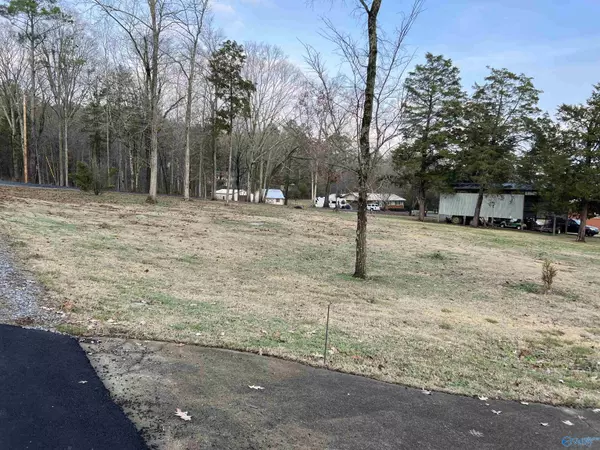 Guntersville, AL 35976,Lot 1 Nixon Drive