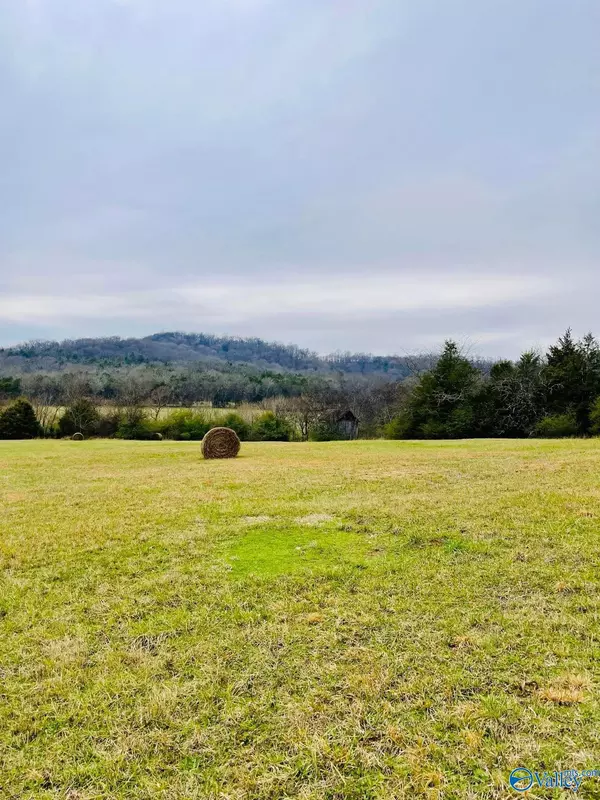 Mulberry, TN 37359,225 Wabash Road