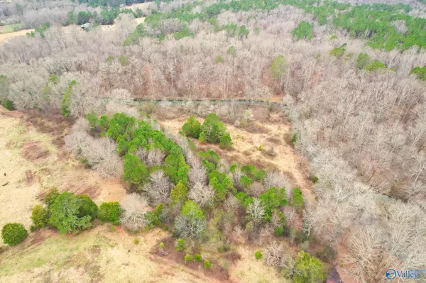 Gaylesville, AL 35973,83 ACRES County Road 114