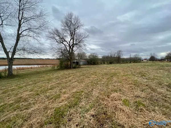 Lexington, AL 35648,Tract 4 County Road 35