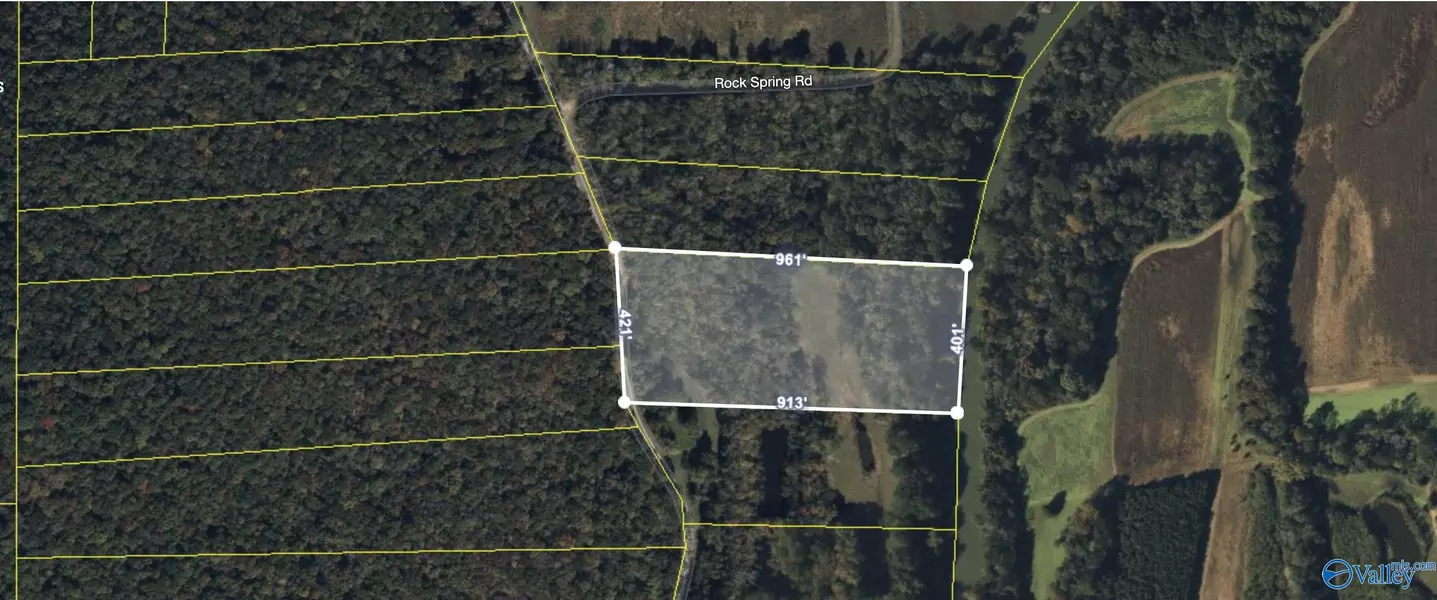 Tract 28 Rock Spring Road, Owens Cross Roads, AL 35763