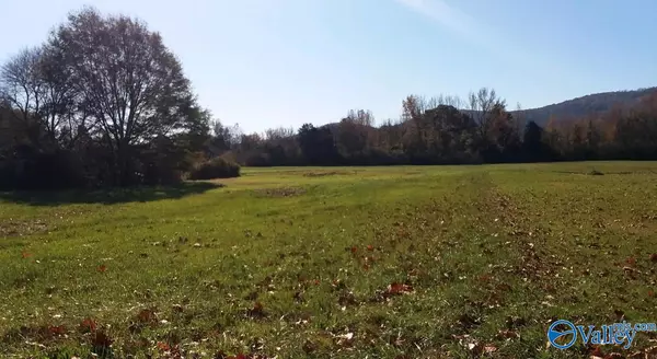 4.03 Knotty Walls Road, Owens Cross Roads, AL 35763