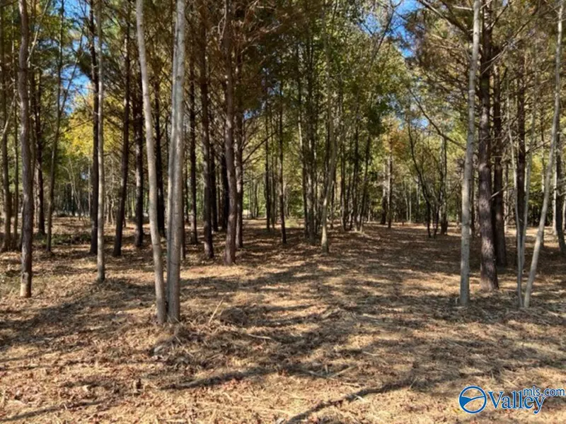 1 Acre Old Six Mile Road, Somerville, AL 35670