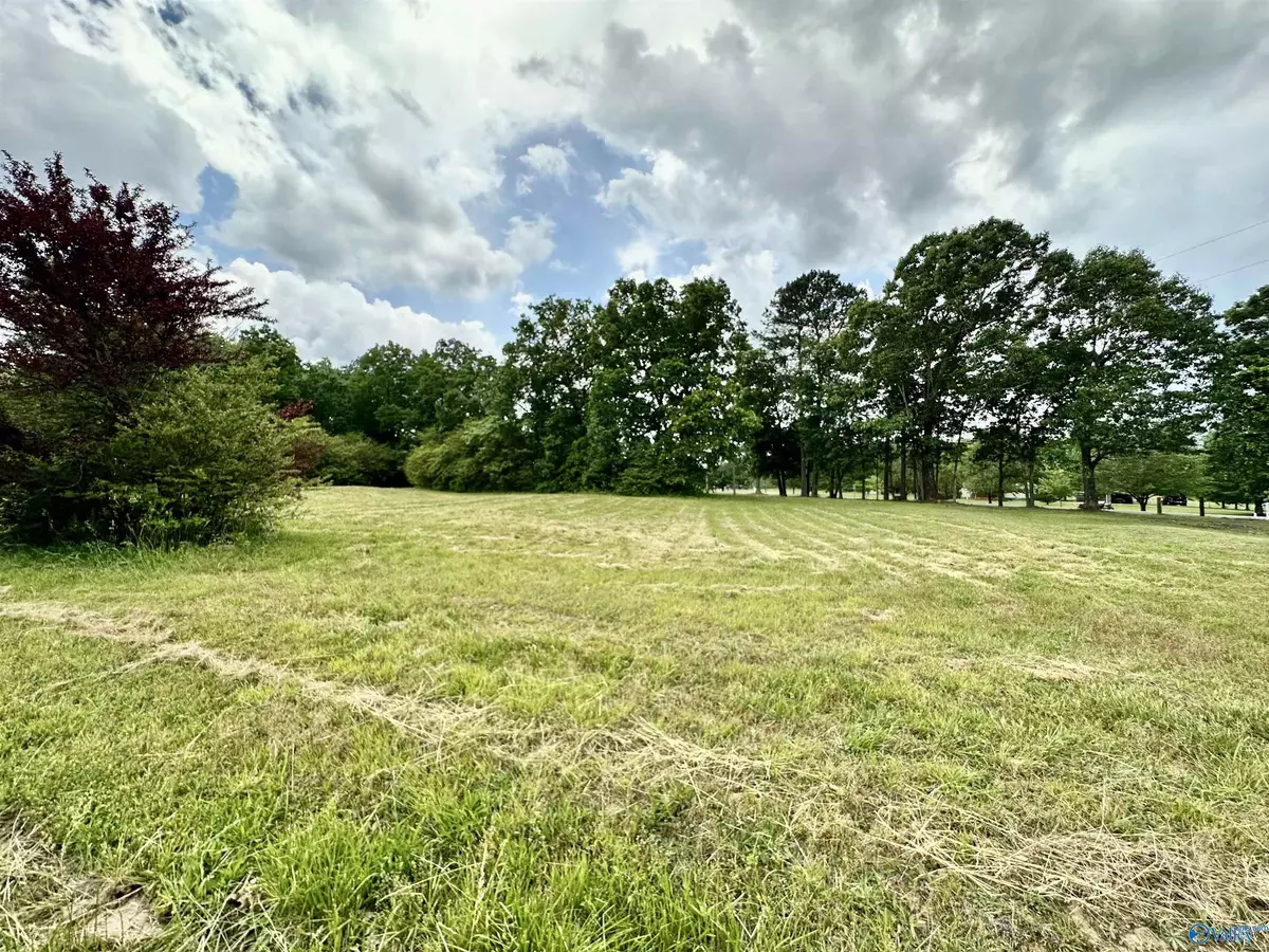 Fort Payne, AL 35968,Lot 2 County Road 1009