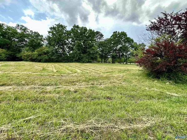 Fort Payne, AL 35968,Lot 2 County Road 1009