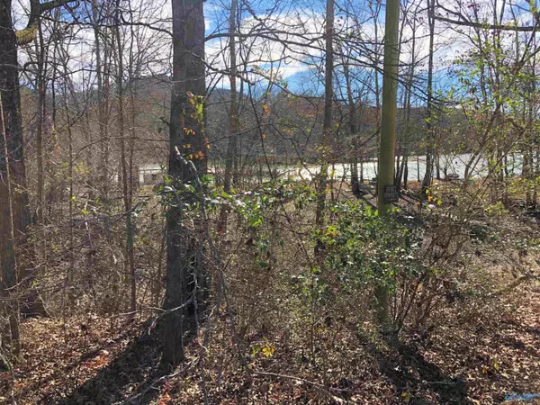 Lot 23 County Road 165, Cedar Bluff, AL 35959