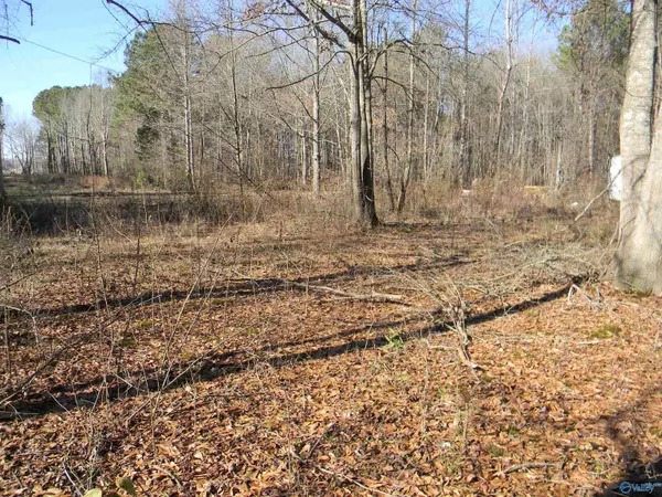 Lot 146 Spring Creek Campground, Centre, AL 35960