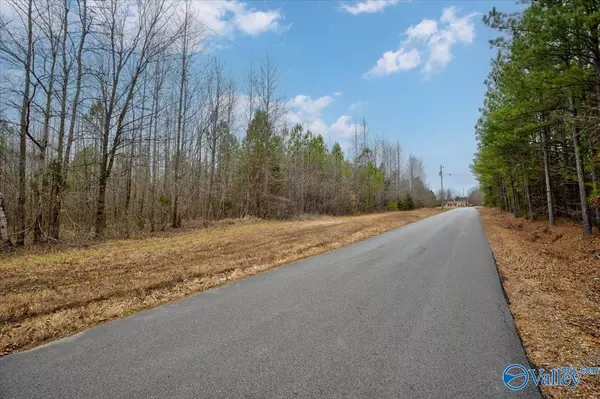 Toney, AL 35773,60 acres Jade Road