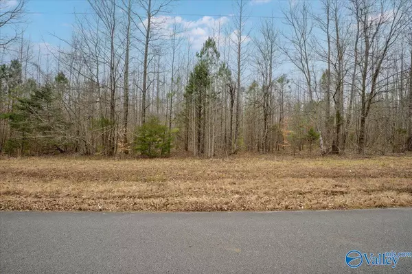 Toney, AL 35773,60 acres Jade Road