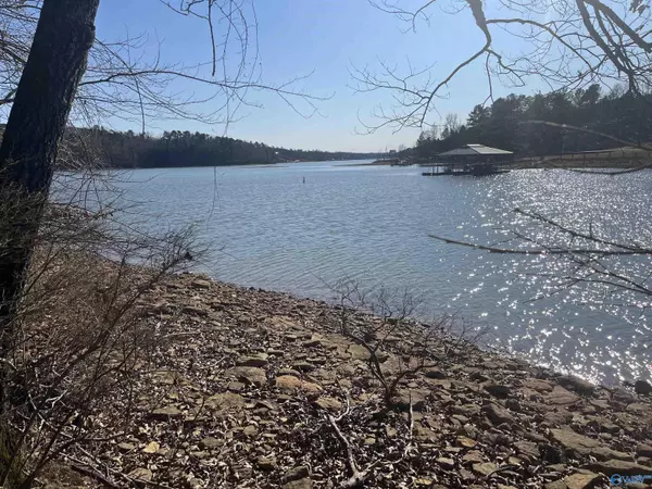 Arley, AL 35541,Lot 14 Arley Landing Drive