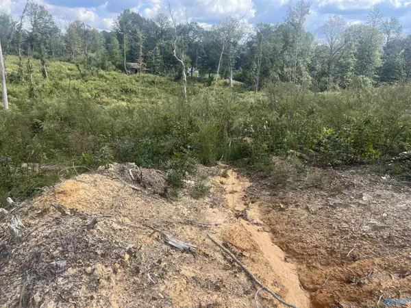 Cullman, AL 35055,15ac County Road 700