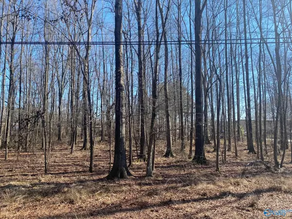 Hazel Green, AL 35750,Lot 8 Greenfield Road